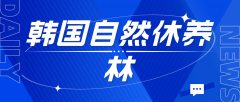韩国自然休养林：身心的纯净治愈之旅