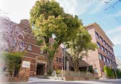 2025年度日本共通测试招生概况