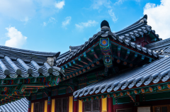 韩语中还有哪些特有的俗语