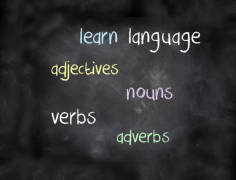 英语培训考研英语阅读如何得分