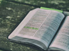 考研英语词汇积累法：快速掌握5500+核心词汇